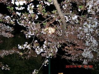 20100411-CIMG1390���