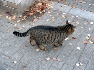 20111214c-PC140495