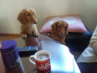 20110215-SH3G0060