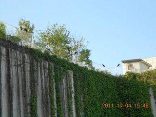 20111005-DSCN0029