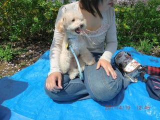 20110410-CIMG0789