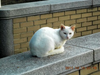 20111010a-DSCN0079