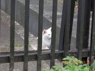 20111118-DSCN0086a