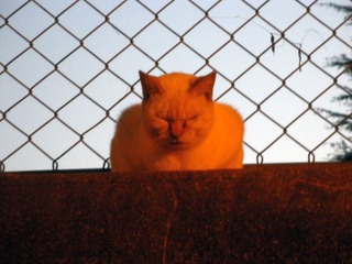 20111126a-PB240330