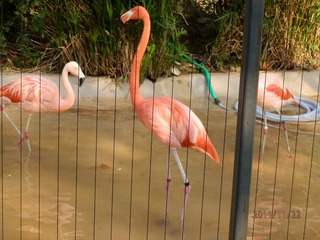 20111123-PB220058