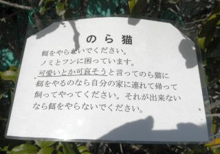 20120130a-P1300816