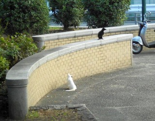 20111007d-DSCN0058