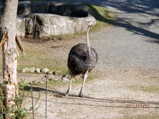 20111123-PB220076