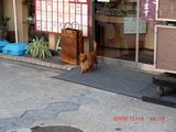 20091216-CIMG0013
