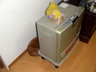 20120515-P5131091