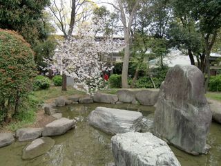 20100405-CIMG1353���ȸ���1