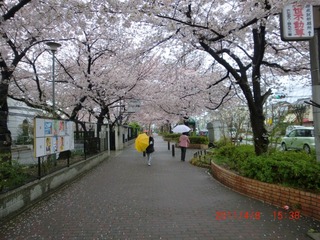 20110408-CIMG0748