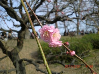 20110227a-CIMG0238