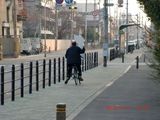 20100111-CIMG0292�ߤ���i