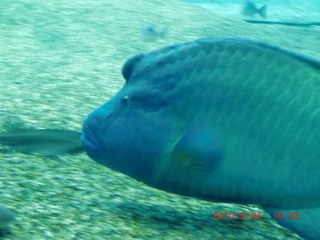 20100924-CIMG2400