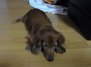 20110517-R0010103