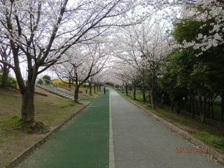 20120407-P4070219