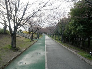 20120331-P3310943