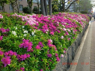 20110427-CIMG0934