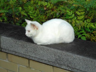 20111031-DSCN0236