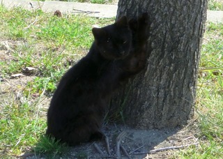 20110406-CIMG0706