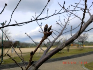 20110303-CIMG0277