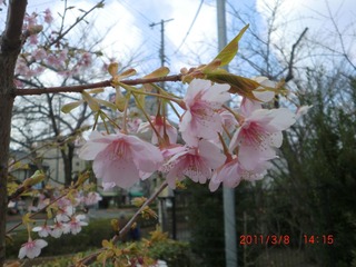 20110308-CIMG0355