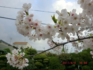 20110409-CIMG0763