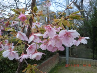 20110308-CIMG0354