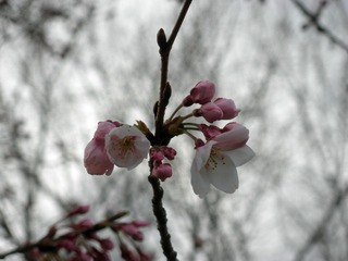 20120331-P3310957