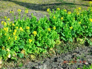 20110305-CIMG0300