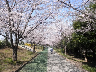 20120408-P4080986