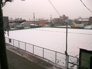 20110212-P1010023