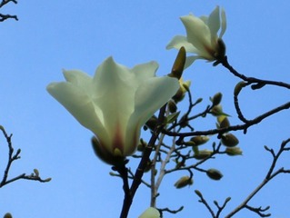 20110324-CIMG0479