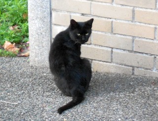 20111110-DSCN0295