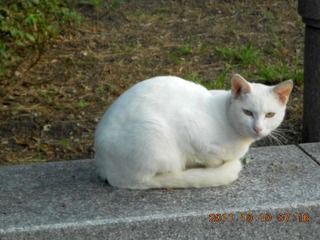 20111010a-DSCN0078