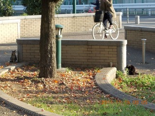 20111115-DSCN0073a