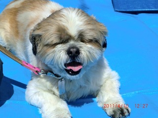 20110410-CIMG0782