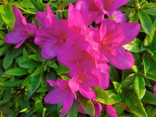 20110427-CIMG0935
