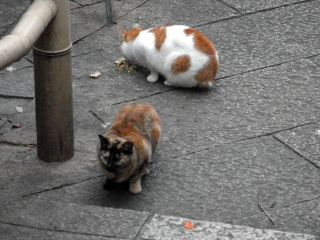 20120102d-P1010585