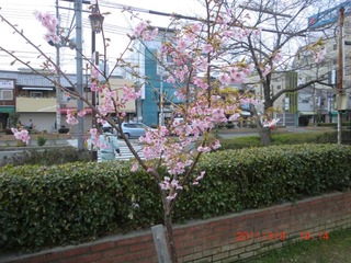 20110308-CIMG0352