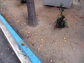 20111116b-PB150198