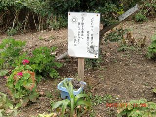 20100301-CIMG0910花