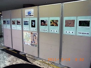20110514-R0010061