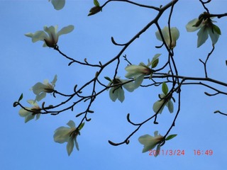 20110324-CIMG0478