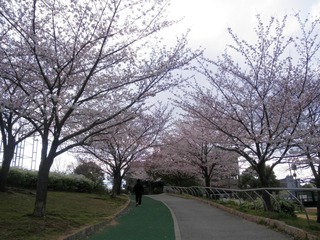 20120407-P4070968
