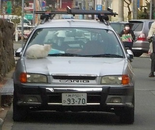 20120210-DSCN0323