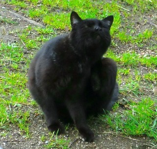 20110321-CIMG0442