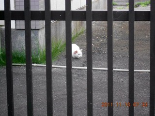 20111110-DSCN0307