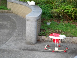 20111102-DSCN0256-1